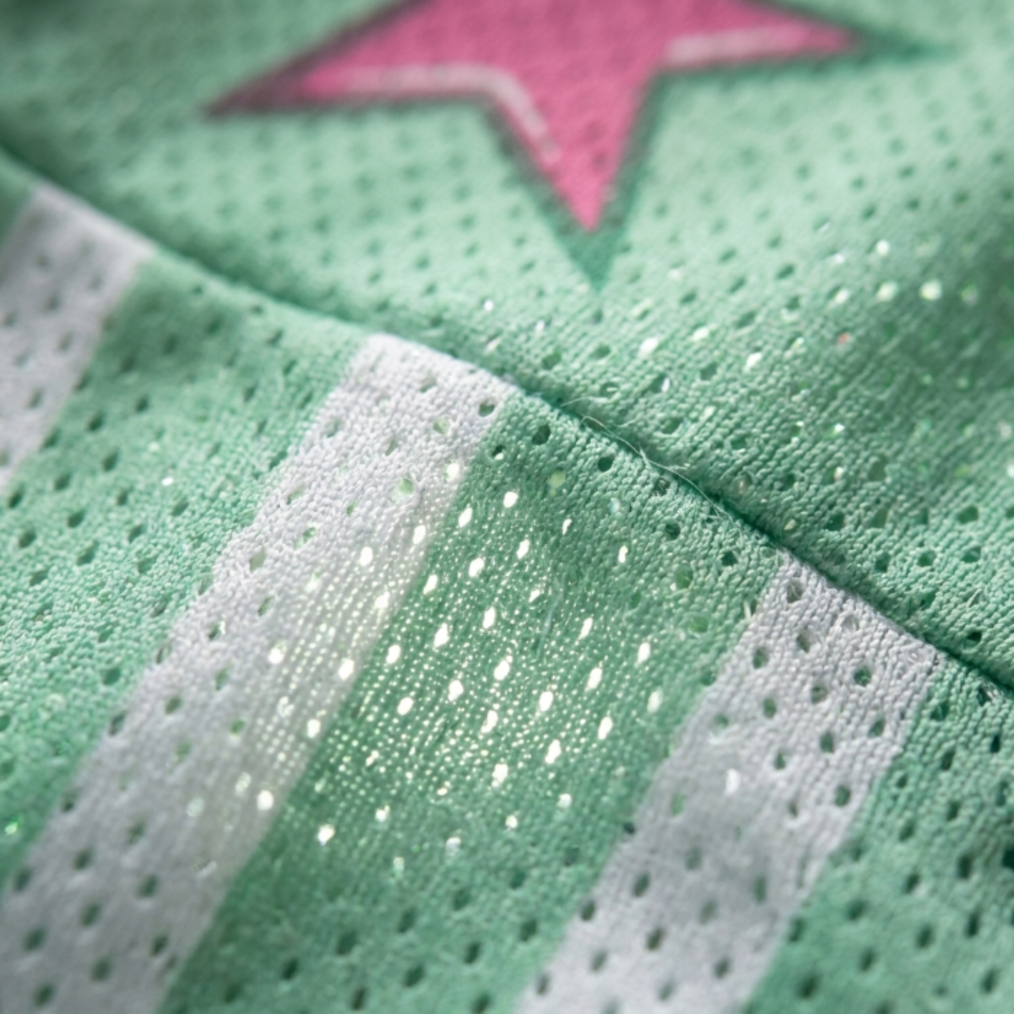 ChaoticClub Hotter Than A Hoochie Coochie Alligator Flamingo Mesh Jersey