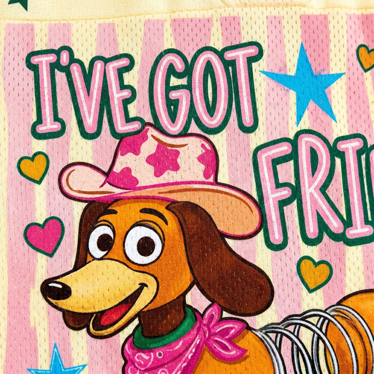 ChaoticClub I've Got Friends In Low Place Dachshund Mesh Jersey - Button & Collar Close Up