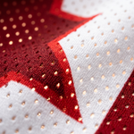 ChaoticClub Off To Commit Tomfoolery Canada Mesh Jersey