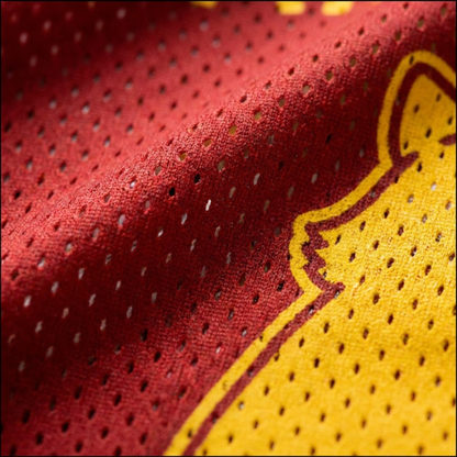 ChaoticClub Off To Commit Tomfoolery Raccoon Spain Mesh Jersey