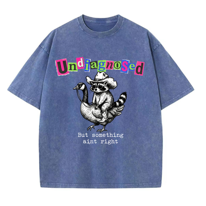 ChaoticClub Undiagnosed Raccoon Washed T-Shirt, vintage oversized graphic tee featuring a cowboy raccoon riding a goose with funny sarcastic text on premium charcoal washed cotton fabric