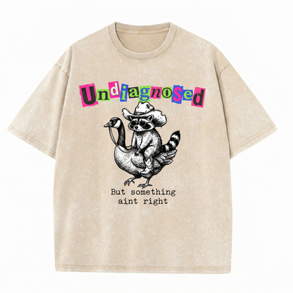 ChaoticClub Undiagnosed Raccoon Washed T-Shirt, vintage oversized graphic tee featuring a cowboy raccoon riding a goose with funny sarcastic text on premium charcoal washed cotton fabric
