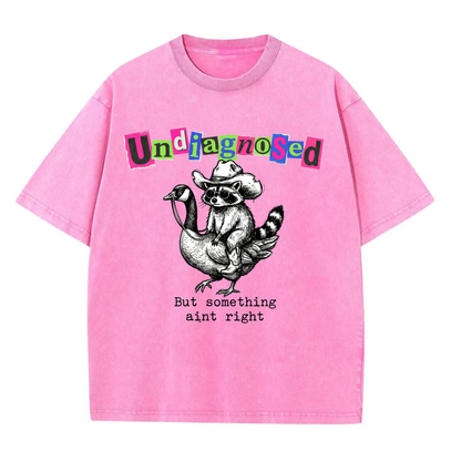 ChaoticClub Undiagnosed Raccoon Washed T-Shirt, vintage oversized graphic tee featuring a cowboy raccoon riding a goose with funny sarcastic text on premium charcoal washed cotton fabric