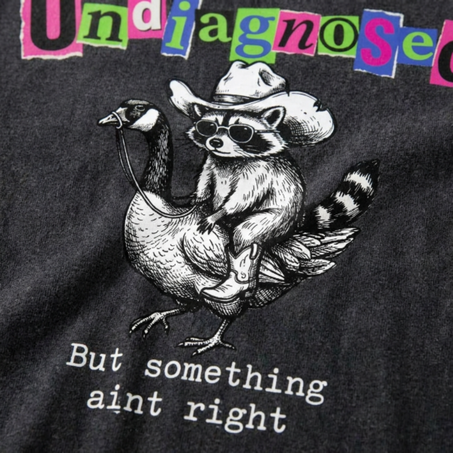 ChaoticClub Undiagnosed Raccoon Washed T-Shirt