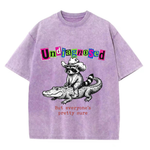 ChaoticClub Undiagnosed Raccoon Washed T-Shirt