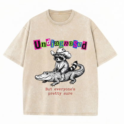 ChaoticClub Undiagnosed Raccoon Washed T-Shirt