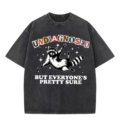 ChaoticClub Undiagnosed Racconn Washed T-Shirt