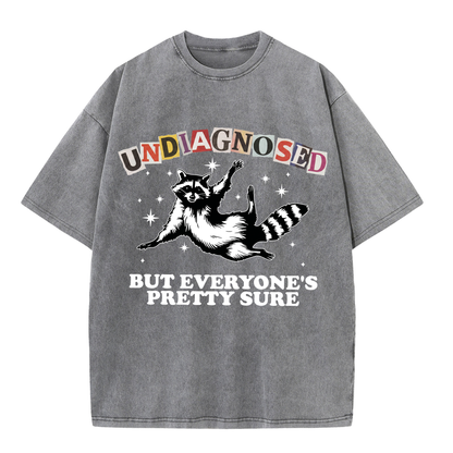 ChaoticClub Undiagnosed Racconn Washed T-Shirt