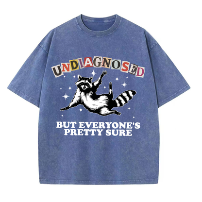 ChaoticClub Undiagnosed Racconn Washed T-Shirt