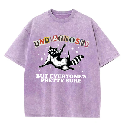 ChaoticClub Undiagnosed Racconn Washed T-Shirt