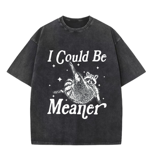 ChaoticClub I Could Be Meaner Washed T-Shirt