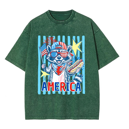 Chaoticclub 4th of July Raccoon Washed T-Shirt
