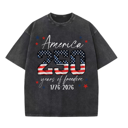 ChaoticClub 250th Anniversary USA Washed T-Shirt