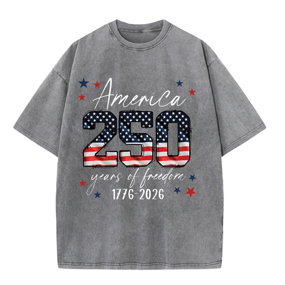 ChaoticClub 250th Anniversary USA Washed T-Shirt