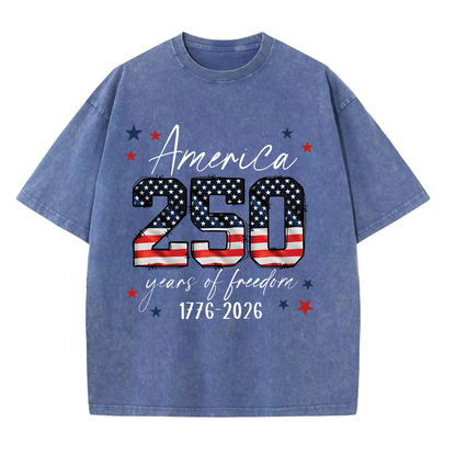 ChaoticClub 250th Anniversary USA Washed T-Shirt