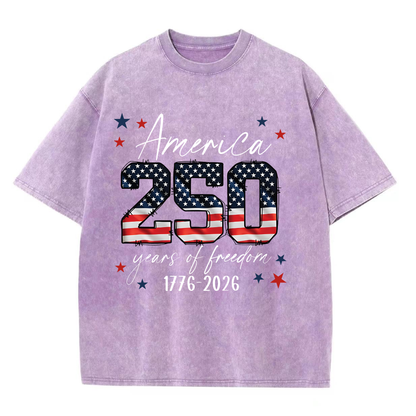 ChaoticClub 250th Anniversary USA Washed T-Shirt