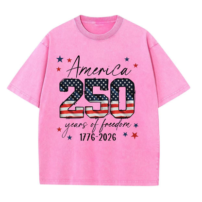 ChaoticClub 250th Anniversary USA Washed T-Shirt