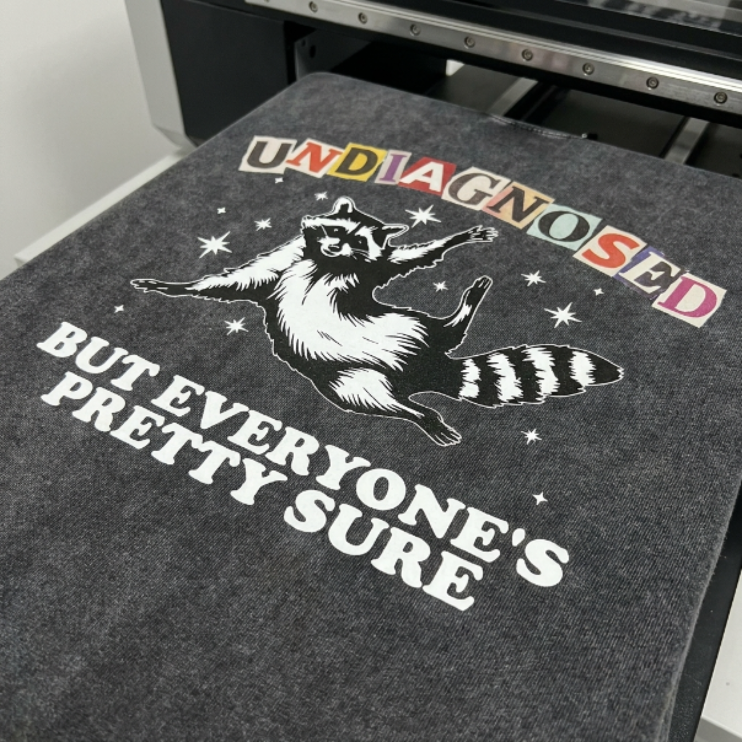 ChaoticClub Undiagnosed Racconn Washed T-Shirt