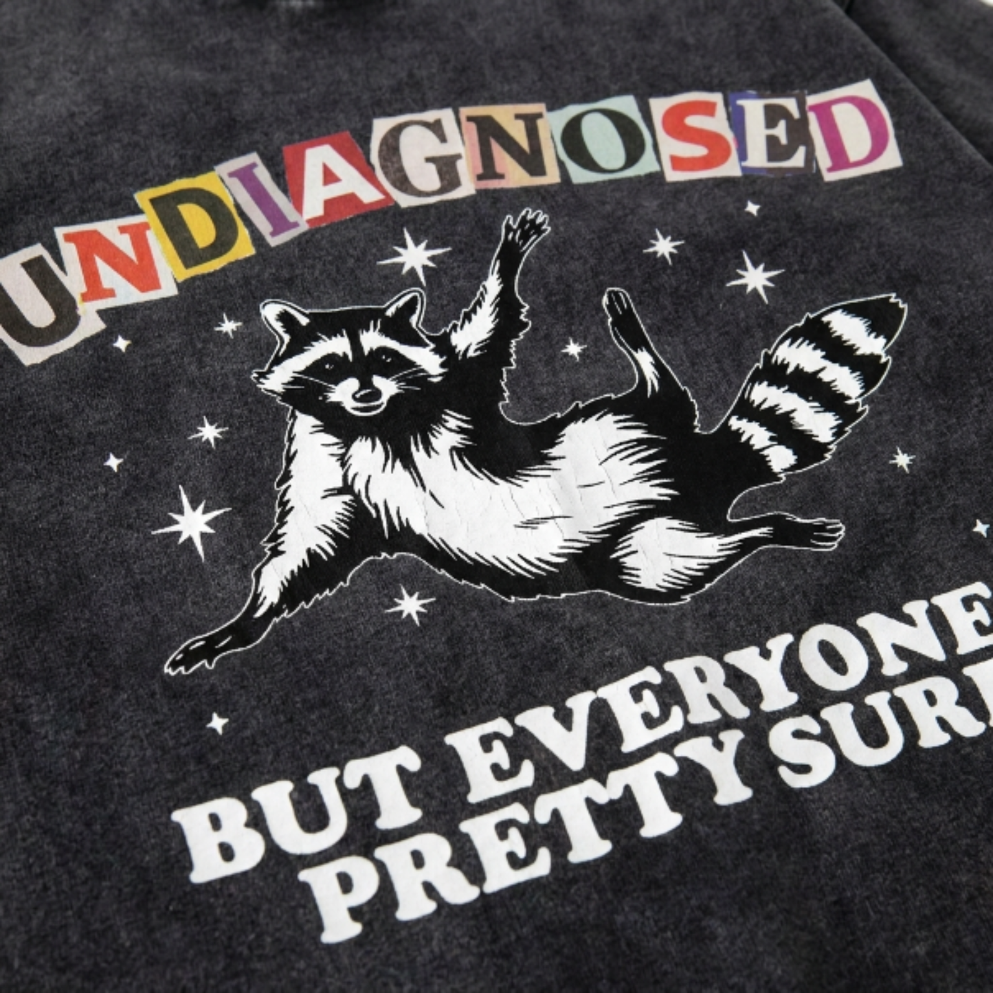 ChaoticClub Undiagnosed Racconn Washed T-Shirt