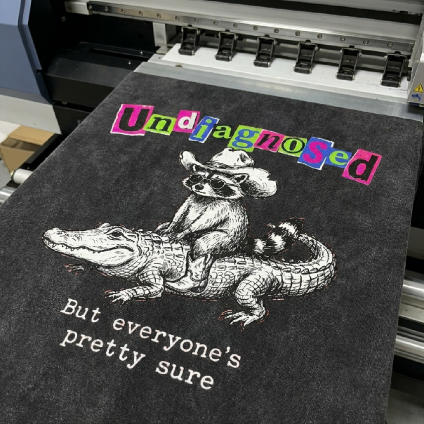 ChaoticClub Undiagnosed Raccoon Washed T-Shirt