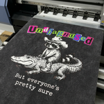 ChaoticClub Undiagnosed Raccoon Washed T-Shirt