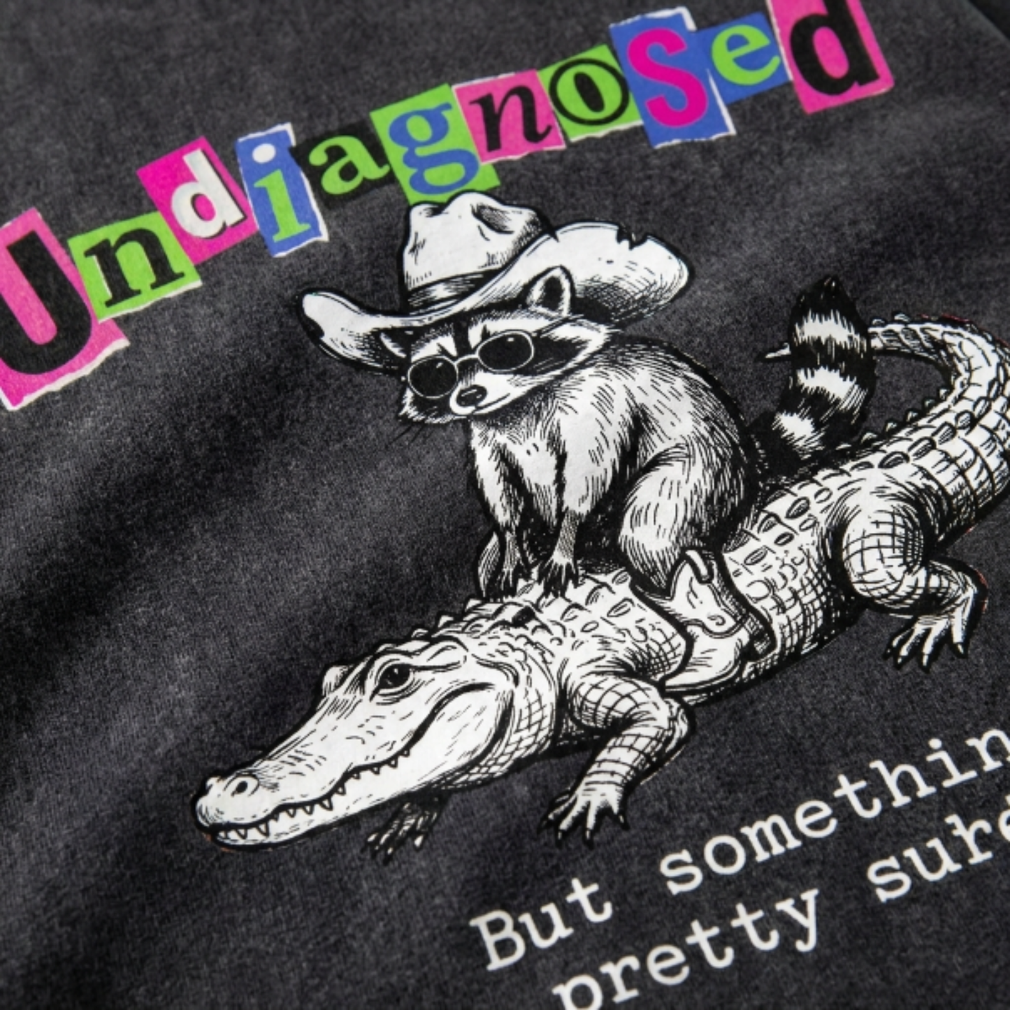ChaoticClub Undiagnosed Raccoon Washed T-Shirt