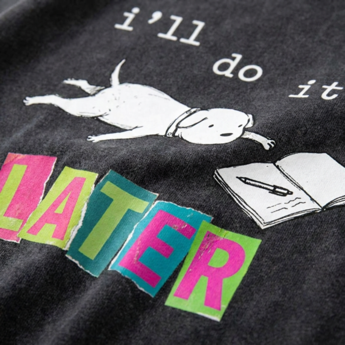 ChaoticClub I'll do it Dog Washed T-Shirt