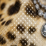 ChaoticClub Extra Boujee Leopard Mesh Jersey