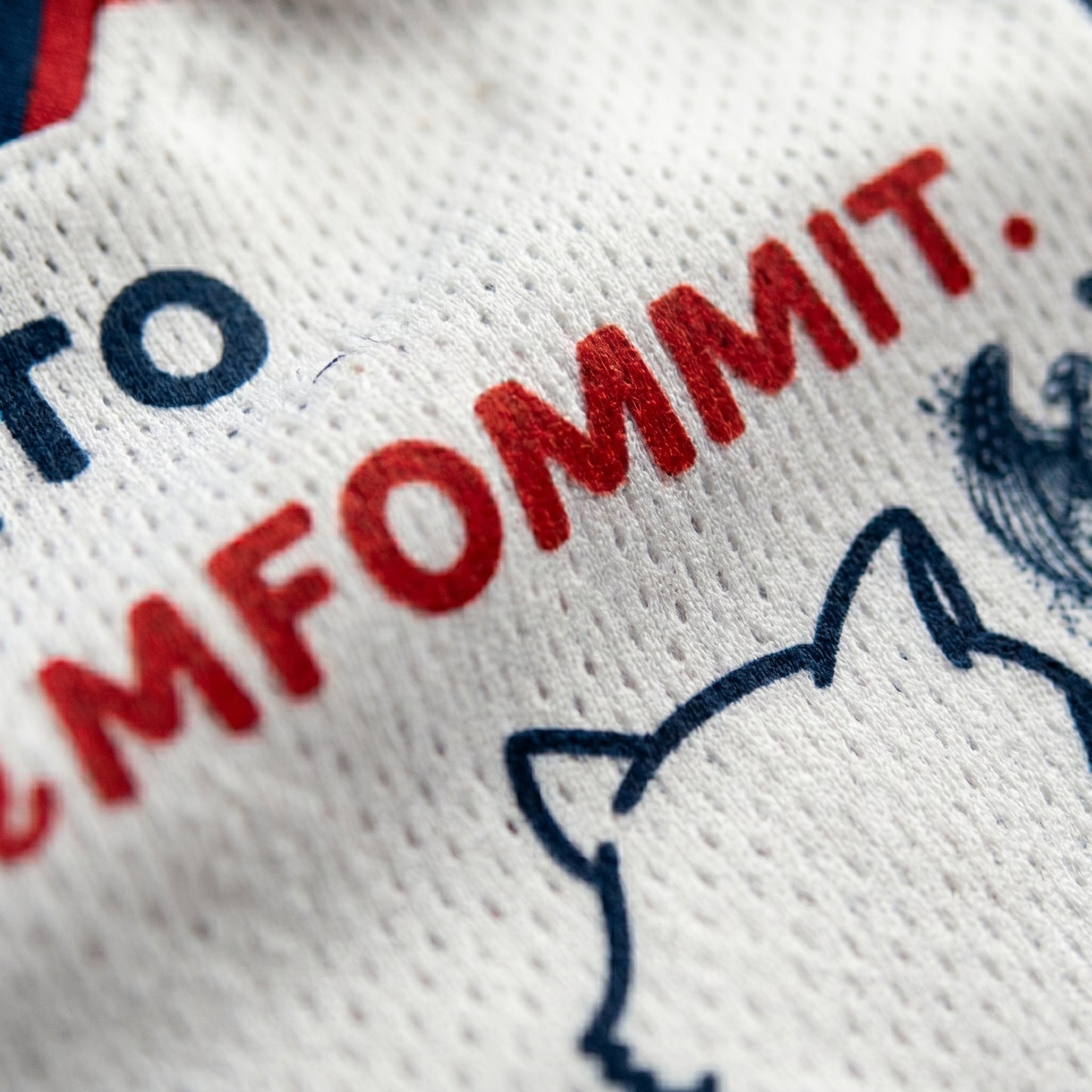 ChaoticClub Off To Commit Tomfoolery Raccoon USA Mesh Jersey