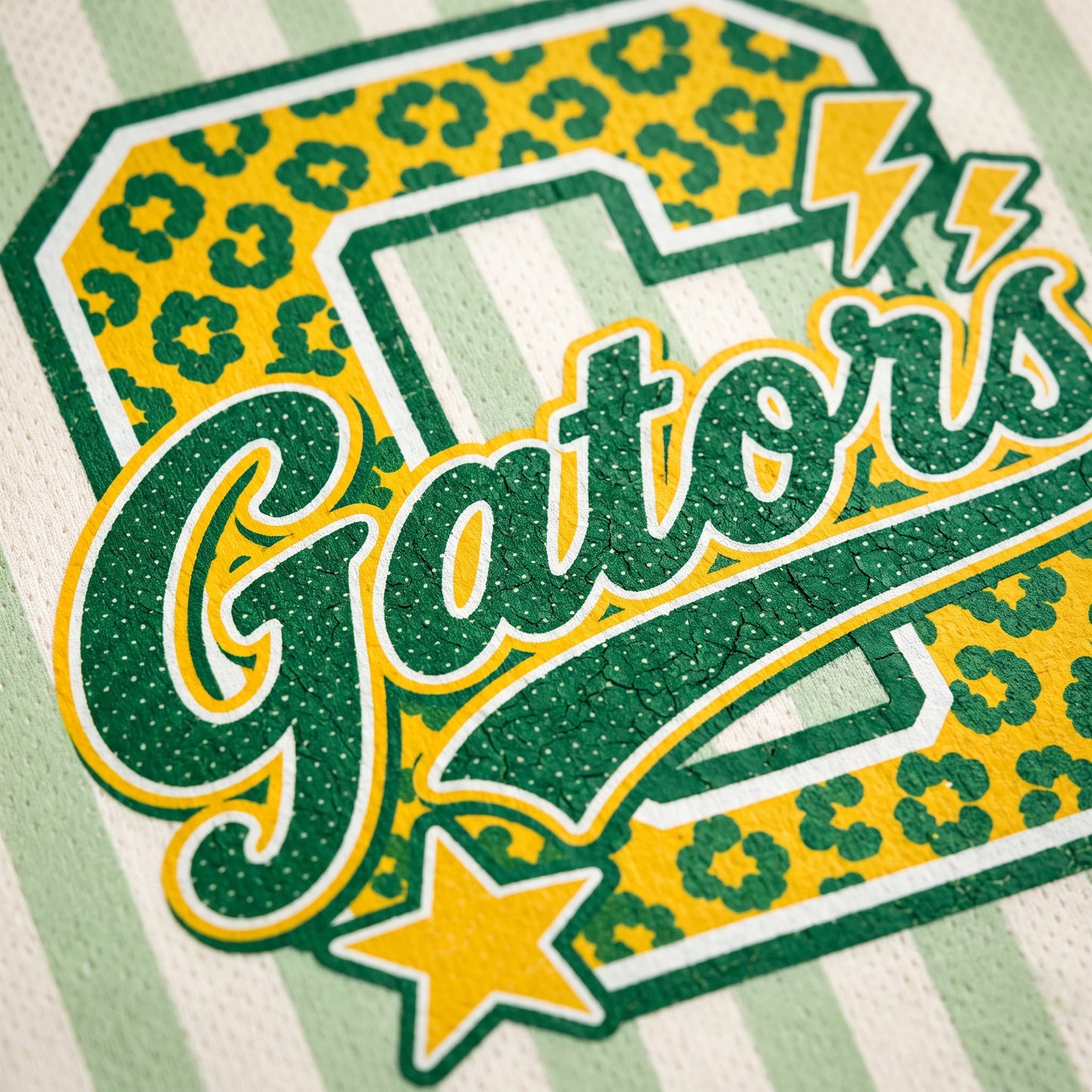 ChaoticClub Leopard School Mascot  School Team Mesh Jersey