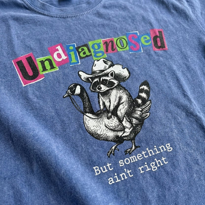 ChaoticClub Undiagnosed Raccoon Washed T-Shirt, vintage oversized graphic tee featuring a cowboy raccoon riding a goose with funny sarcastic text on premium charcoal washed cotton fabric