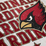 Close-up of a white textured sports jersey featuring the Arizona Cardinals logo and team name in red, black, and gold.