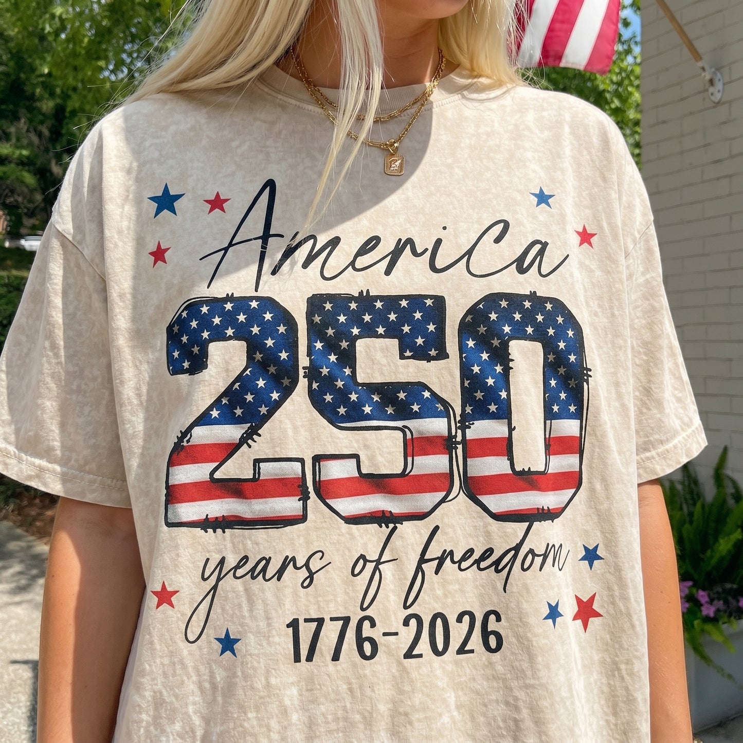 ChaoticClub 250th Anniversary USA Washed T-Shirt