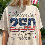 ChaoticClub 250th Anniversary USA Washed T-Shirt
